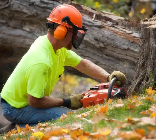 tree services Hannawa Falls